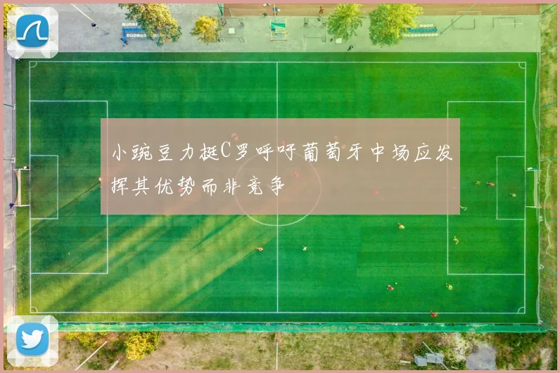 小豌豆力挺C罗呼吁葡萄牙中场应发挥其优势而非竞争