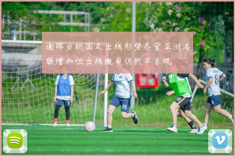 谢晖分析国足出线形势尽管亚洲名额增加但出线概率仍然不乐观